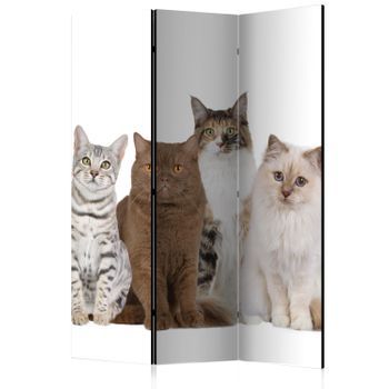 Biombo - Sweet Cats (135x172 Cm)