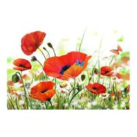 papel pintado 3d - country poppies 400x270 cm