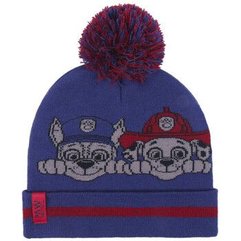 Dessins Animés Gorro 2200009637 para niño