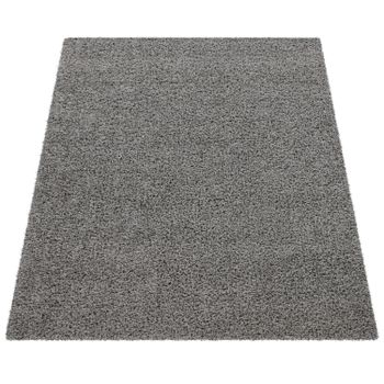 Alfombra peluda Trista gris  60x100 cm