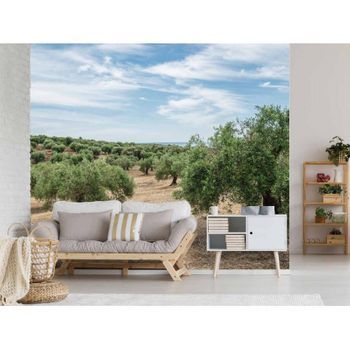 Fotomural Vinilo Mar De Olivos 350 X 250 Cm