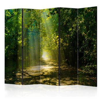 Biombo - Road In Sunlight Ii (225x172 Cm)