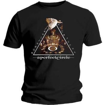A Perfect Circle Tops y Camisetas Surrender para hombre