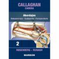 cadera 2 abordajes osteonecrosis evaluacion perioperatorio