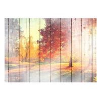 papel pintado 3d - autumn sun 350x245 cm