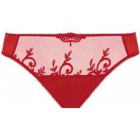 Apolline Brief
