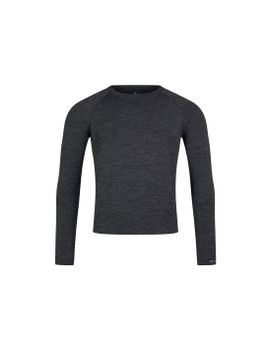 Camiseta de Ciclismo Endura Baabaa Pro Ls Baselayer Hombre Gris