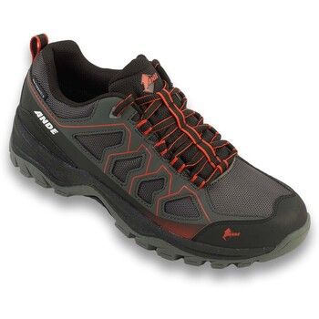Ande Zapatillas deporte Cobra Low Wp para mujer