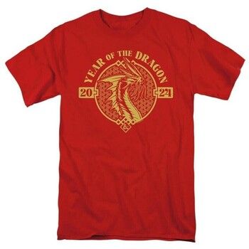 Dungeons & Dragons Camiseta Year Of The Dragon para hombre