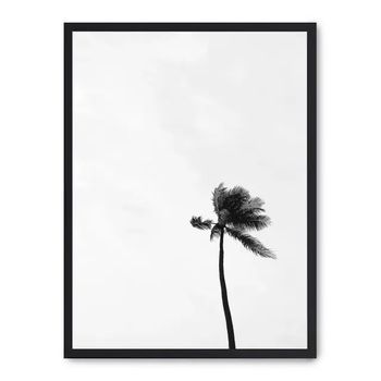 Cuadro Palm From Below