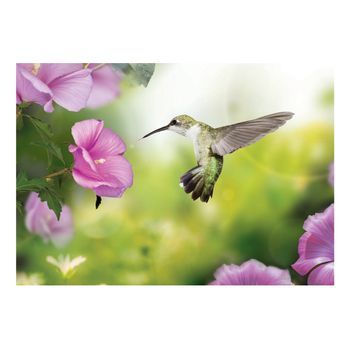 Papel Pintado 3d - Colibrí (250x175 Cm)