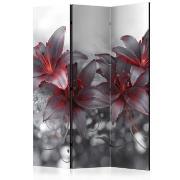 Biombo - Shadow Of Passion (135x172 Cm)