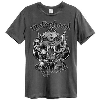 Amplified Clothing Tops y Camisetas Snaggletooth Crest para mujer