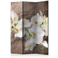 biombo - impeccability of the orchid 135x172 cm