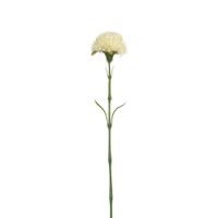 tallo de cardo artificial rosa palido h60