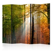 biombo - forest colours ii 225x172 cm