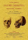 tratado elemental de anatomia descriptiva y de preparaciones anat omic