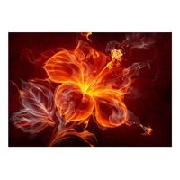 papel pintado 3d - flor ardiente 300x210 cm