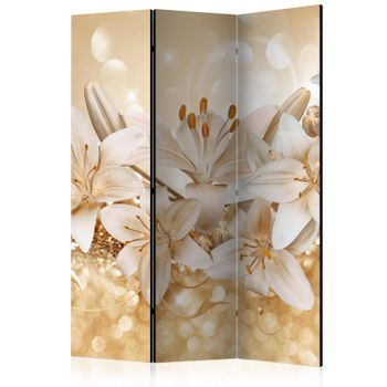 Biombo - Royal Entourage (135x172 Cm)