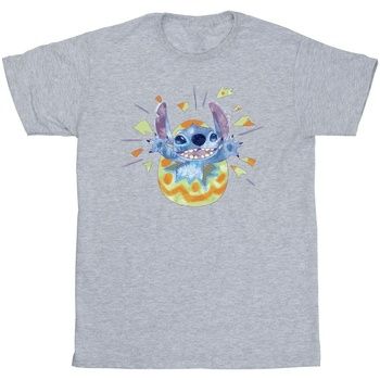 Disney Tops y Camisetas BI50318 para niño