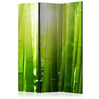 biombo - sun and bamboo 135x172 cm