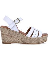 de itse 14372 blanco