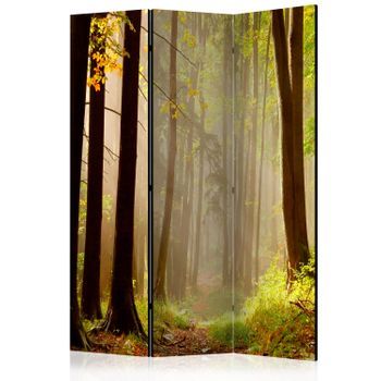 Biombo - Mysterious Forest Path (135x172 Cm)