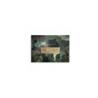 magic studio camouflage palette