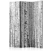 biombo - birch forest 135x172 cm