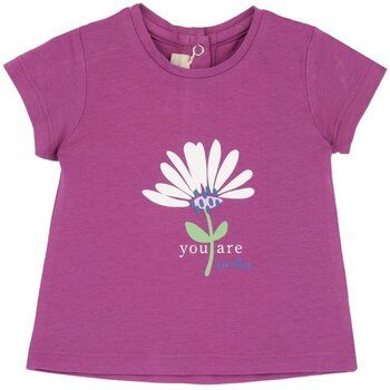 Chicco Camiseta 09101278000000_altro para niño