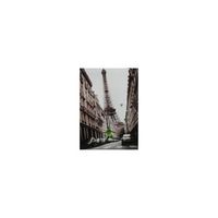 cuadro lienzo fotoimpresion mujer torre eiffel 50x69