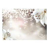 papel pintado 3d - composicion embrujada 250x175 cm