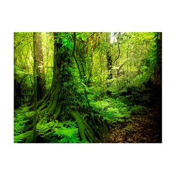 Papel Pintado 3d - Selva (200x154 Cm)