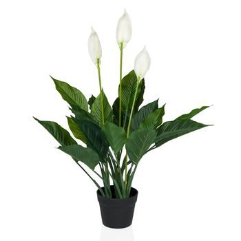 Planta Artificial Spathiphyllum Verde / Blanco Hjh Office