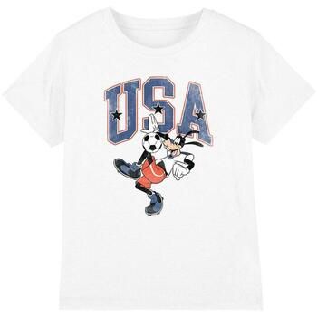Disney Camiseta USA para niño