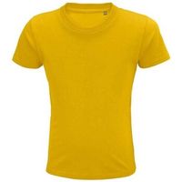 sols tops y camisetas pioneer para nino