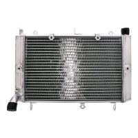 refrigerador motor yamaha fzs 1000 fazer agua