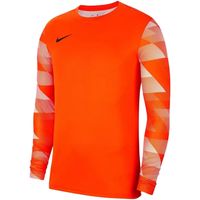 nike camiseta manga larga dry park iv jsy jr ls para nino