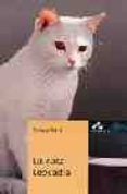 la gata leocadia nivel 4