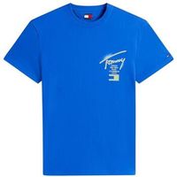 tommy hilfiger camiseta dm0dm22553-c8o para hombre