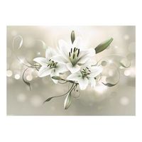 papel pintado 3d - lily - flower of masters 300x210 cm