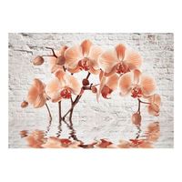 papel pintado 3d - the orange arc 150x105 cm