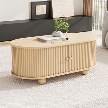 Mesa De Centro Ovalada Con Almacenamiento Y Puertas Correderas, 100 X 50 X 40 Cm