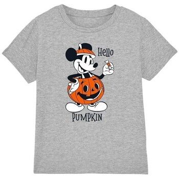 Disney Tops y Camisetas Hello Pumpkin para niña