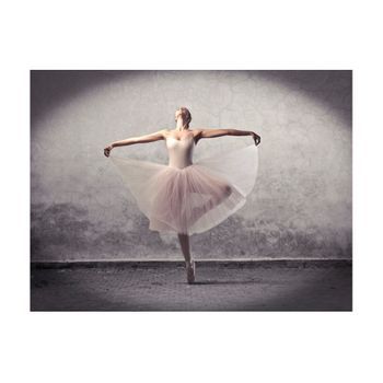 Papel Pintado 3d - Ballet, Poesía Sin Palabras (250x193 Cm)