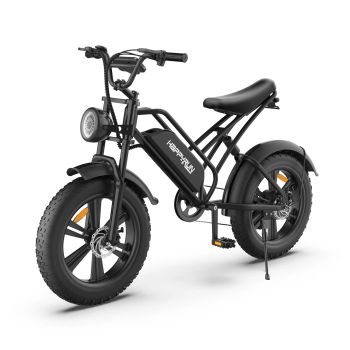 [EU DIRECT] FELIZCORRIDA HR-G50 Bicicleta eléctrica batería de 48V 18Ah motor de 750W velocidad máxima recomendada 25KM/