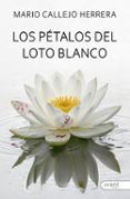 los petalos del loto blanco