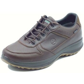 Grisport Zapatillas de senderismo 8691OV Wood para hombre