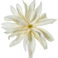 set 6 flores artificiales blanco