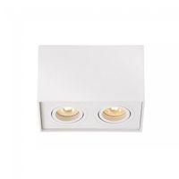 plafon de techo tube ii 2 luces
